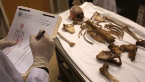 Forensic Anthropolog
