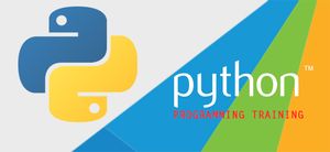 Python for Teens