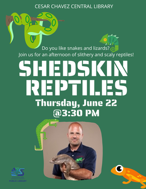 Shedskin Reptiles