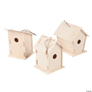 Paint Birdhouses