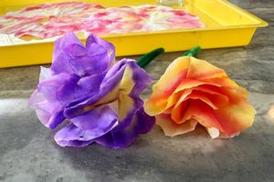 Watercolor Flowers (