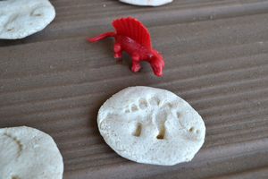 Dig it! Fossil Fun (