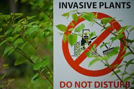 Controlling Invasive