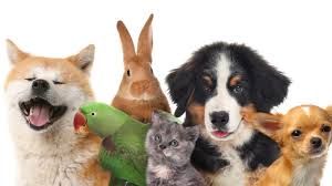 Wednesday Storytime 