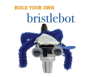 Build a Bristle Bot