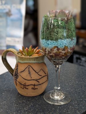 DIY Succulent Progra DIY Succulent Progra