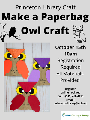 Paper Bag Owl Craft