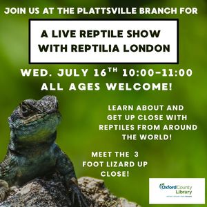 PLA- SRC Live Reptil