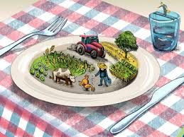 Farm to Fork: A Cook