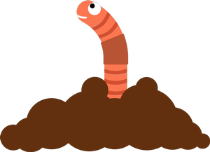 Worm Observation Jar
