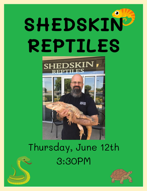 Shedskin Reptiles