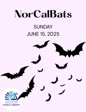 NorCalBats Performan