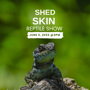 Shedskin Reptile Sho