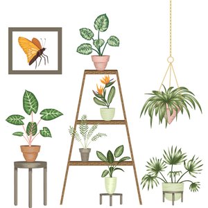 PLANT SWAP PLANT SWAP