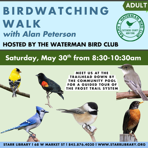 Birdwatching Walk wi