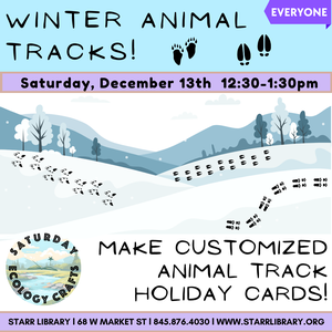 Saturday Ecology Cra Saturday Ecology Cra