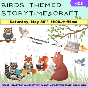 Birds Themed Storyti