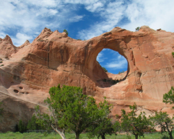 VIRTUAL: Navajo Nati