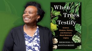 Virtual Author Talk 