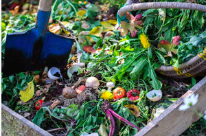 Backyard Composting 