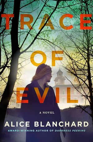 Adult Mystery Book D