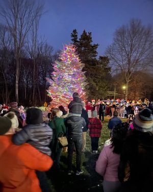 Holiday Tree Lightin