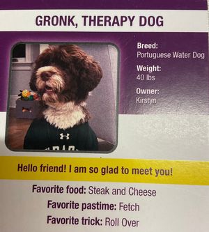Read to an Dog