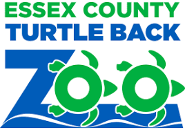 Turtle Back Zoo Anim