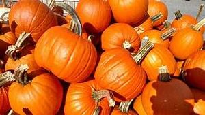 Storytime: Plenty of