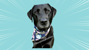 Reading with Dune Reading with Dune