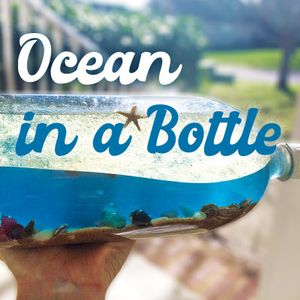 Ocean in a Bottle: (