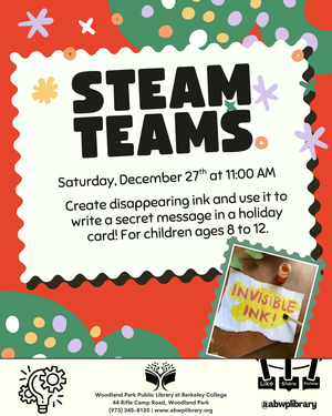 STEAM Teams - AGES 8