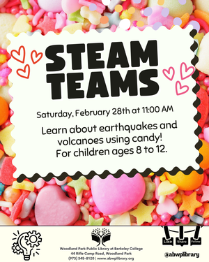 STEAM Teams - AGES 8 STEAM Teams - AGES 8