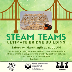 STEAM Teams - GRADES