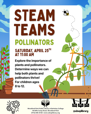 STEAM Teams - AGES 8