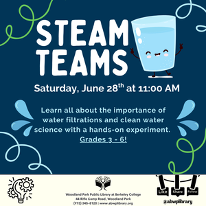 STEAM Teams - GRADES