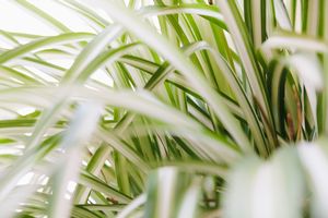 Climate Conscious: S