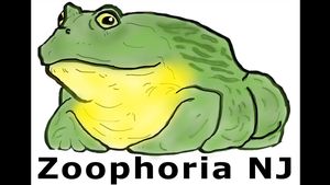 Zoophoria NJ Reptile