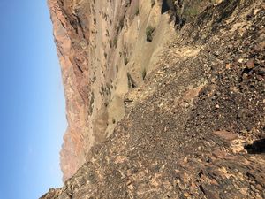 Friends of the Libra