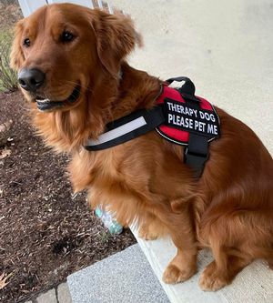 Read with Holden the